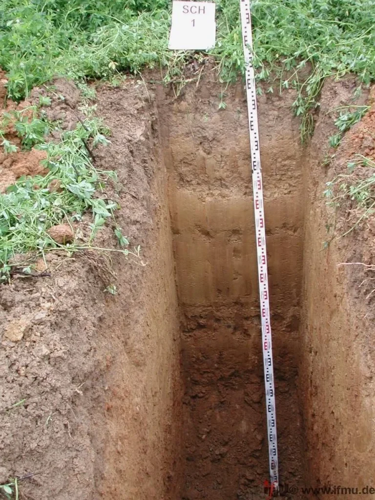 Exploratory Test Pits for Site Investigation in Laredo
